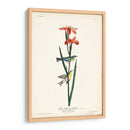 Pl. 15 Curruca Azul Amarillo-Atrás - John James Audubon | Cuadro decorativo de Canvas Lab