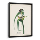 Pl. 30 Vigores Vireo - John James Audubon | Cuadro decorativo de Canvas Lab