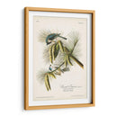 Pl. 39 Crested Titmouse - John James Audubon | Cuadro decorativo de Canvas Lab