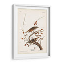 Pl. 58 Hermit Thrush - John James Audubon | Cuadro decorativo de Canvas Lab
