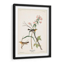 Pl. 135 Blackburnian Warbler - John James Audubon | Cuadro decorativo de Canvas Lab