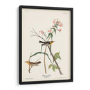 Pl. 135 Blackburnian Warbler - John James Audubon | Cuadro decorativo de Canvas Lab