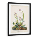 Pl. 139 Gorrión De Campo - John James Audubon | Cuadro decorativo de Canvas Lab
