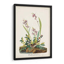 Pl. 139 Gorrión De Campo - John James Audubon | Cuadro decorativo de Canvas Lab