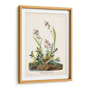 Pl. 139 Gorrión De Campo - John James Audubon | Cuadro decorativo de Canvas Lab