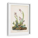 Pl. 139 Gorrión De Campo - John James Audubon | Cuadro decorativo de Canvas Lab