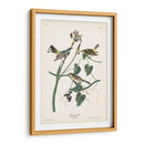 Pl. 153 Curruca Amarilla - John James Audubon | Cuadro decorativo de Canvas Lab