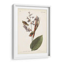 Pl. 183 American Golden-Crested Wren - John James Audubon | Cuadro decorativo de Canvas Lab