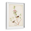 Pl. 195 Ruby-Crowned Wren - John James Audubon | Cuadro decorativo de Canvas Lab