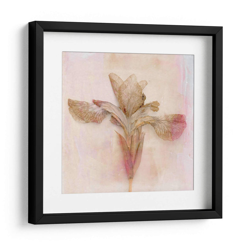 Flores Recordadas I - Judy Stalus | Cuadro decorativo de Canvas Lab