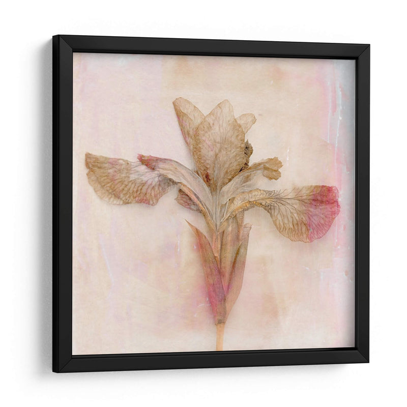 Flores Recordadas I - Judy Stalus | Cuadro decorativo de Canvas Lab