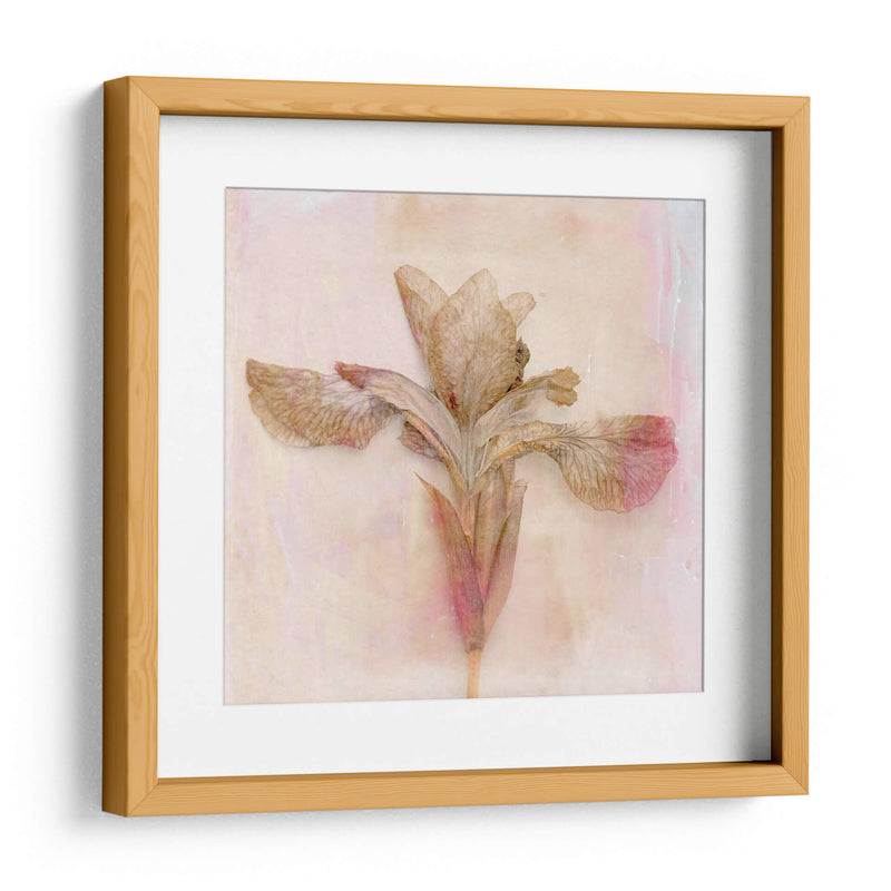 Flores Recordadas I - Judy Stalus | Cuadro decorativo de Canvas Lab