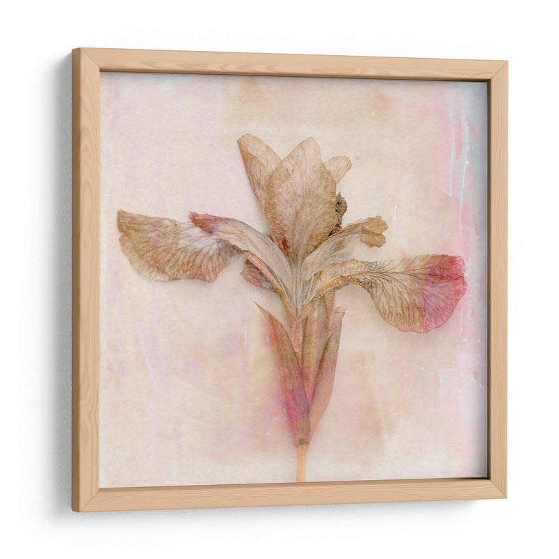 Flores Recordadas I - Judy Stalus | Cuadro decorativo de Canvas Lab