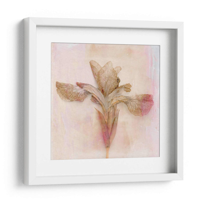 Flores Recordadas I - Judy Stalus | Cuadro decorativo de Canvas Lab