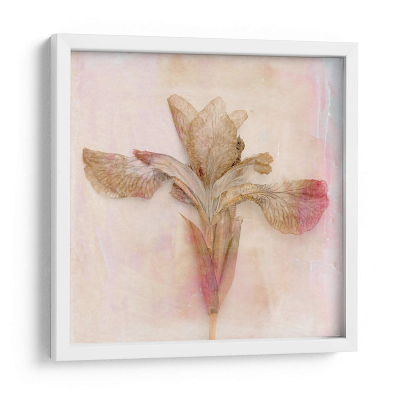 Flores Recordadas I - Judy Stalus | Cuadro decorativo de Canvas Lab