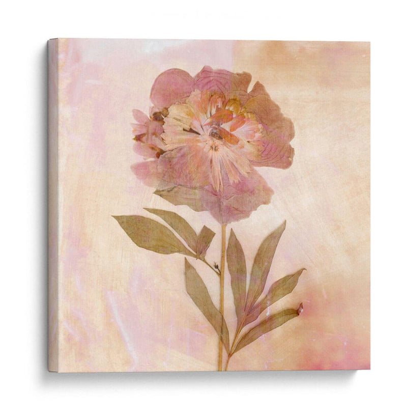 Flores Recordadas Ii - Judy Stalus | Cuadro decorativo de Canvas Lab