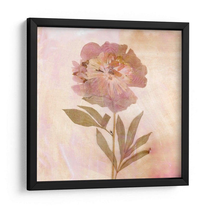 Flores Recordadas Ii - Judy Stalus | Cuadro decorativo de Canvas Lab