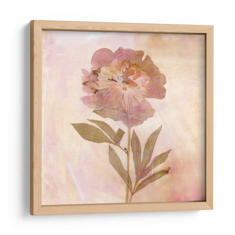 Flores Recordadas Ii - Judy Stalus | Cuadro decorativo de Canvas Lab