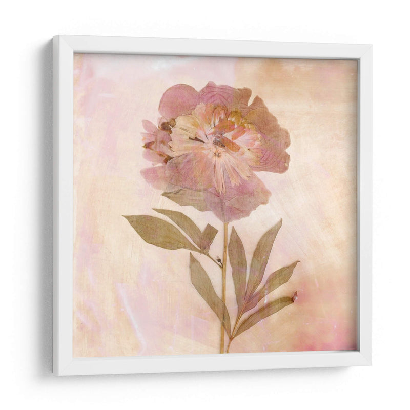 Flores Recordadas Ii - Judy Stalus | Cuadro decorativo de Canvas Lab