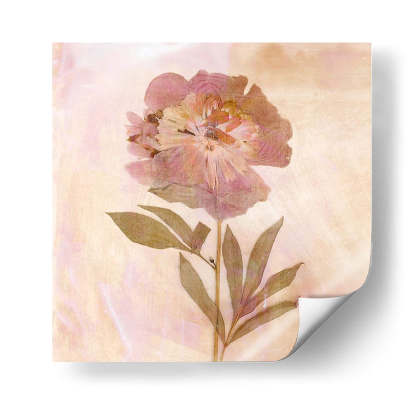 Flores Recordadas Ii - Judy Stalus | Cuadro decorativo de Canvas Lab