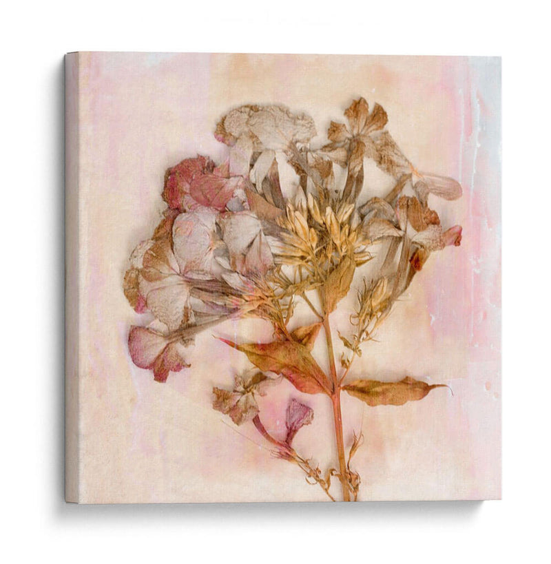 Flores Recordadas Iii - Judy Stalus | Cuadro decorativo de Canvas Lab