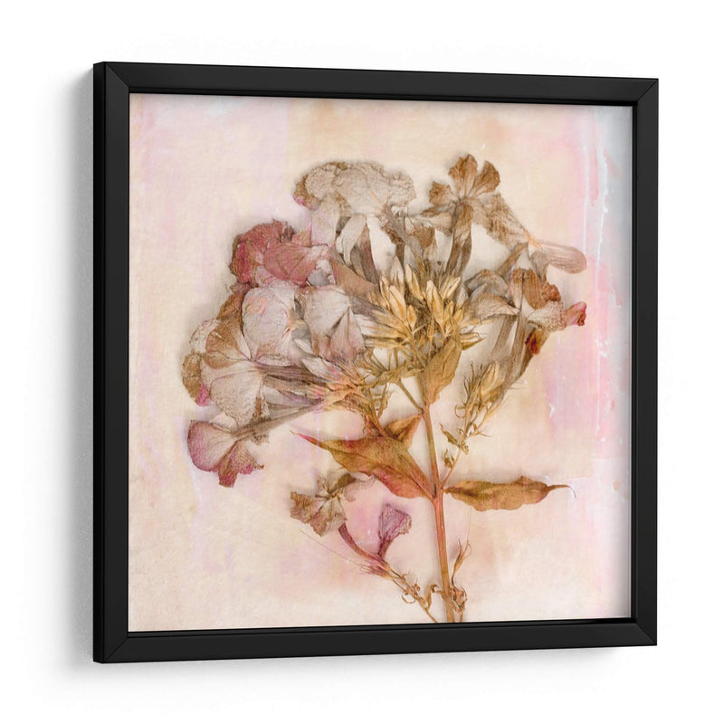 Flores Recordadas Iii - Judy Stalus | Cuadro decorativo de Canvas Lab