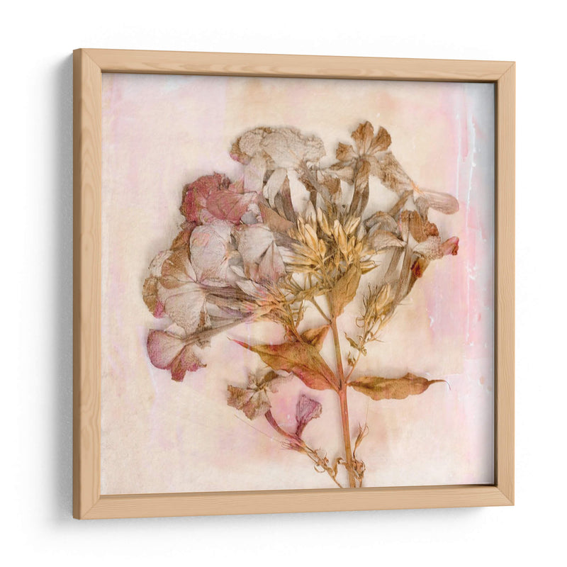 Flores Recordadas Iii - Judy Stalus | Cuadro decorativo de Canvas Lab