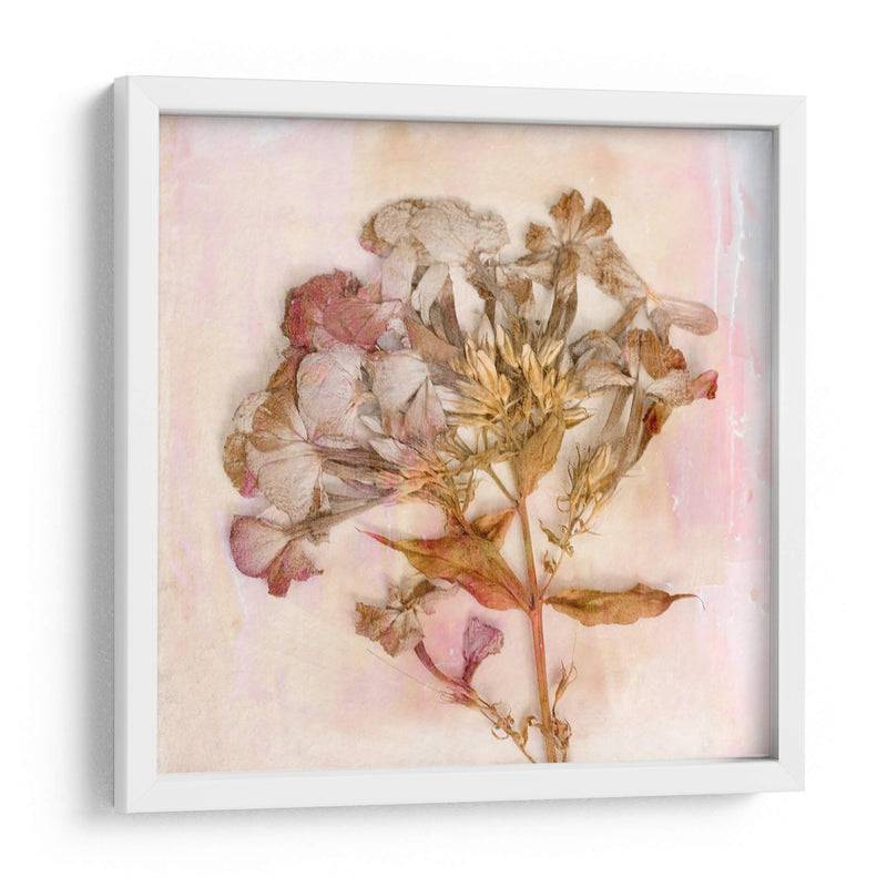 Flores Recordadas Iii - Judy Stalus | Cuadro decorativo de Canvas Lab