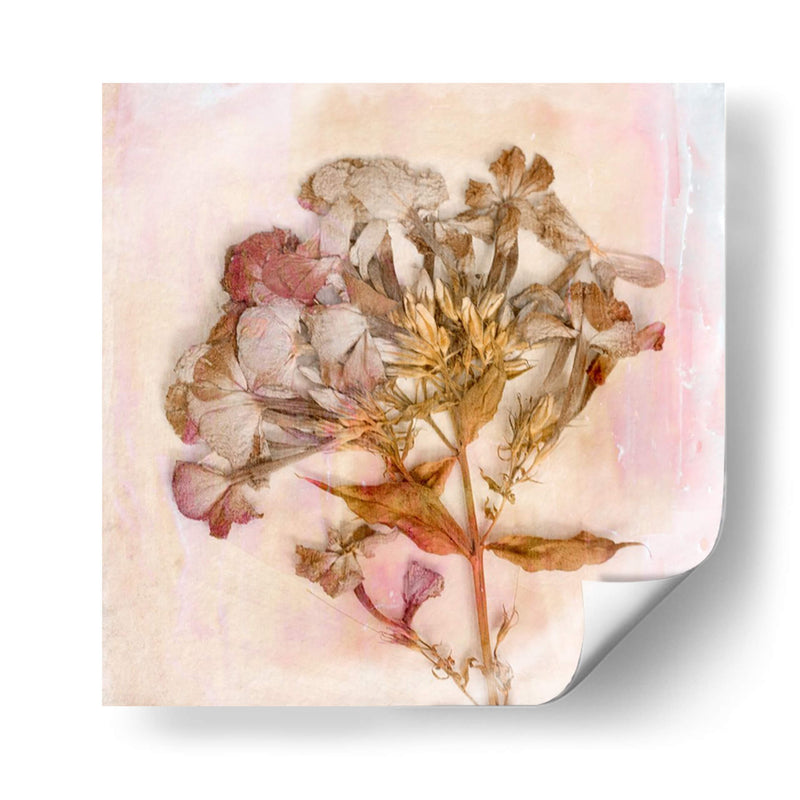 Flores Recordadas Iii - Judy Stalus | Cuadro decorativo de Canvas Lab