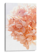 Mañana Soleada I - Judy Stalus | Cuadro decorativo de Canvas Lab