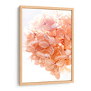 Mañana Soleada I - Judy Stalus | Cuadro decorativo de Canvas Lab