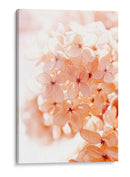 Mañana Soleada Ii - Judy Stalus | Cuadro decorativo de Canvas Lab