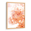 Mañana Soleada Ii - Judy Stalus | Cuadro decorativo de Canvas Lab