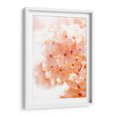 Mañana Soleada Ii - Judy Stalus | Cuadro decorativo de Canvas Lab