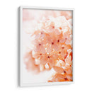 Mañana Soleada Ii - Judy Stalus | Cuadro decorativo de Canvas Lab