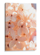 Mañana Soleada Iii - Judy Stalus | Cuadro decorativo de Canvas Lab