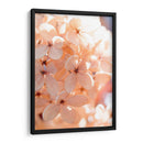 Mañana Soleada Iii - Judy Stalus | Cuadro decorativo de Canvas Lab