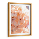 Mañana Soleada Iii - Judy Stalus | Cuadro decorativo de Canvas Lab