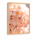 Mañana Soleada Iii - Judy Stalus | Cuadro decorativo de Canvas Lab