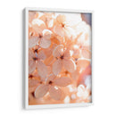 Mañana Soleada Iii - Judy Stalus | Cuadro decorativo de Canvas Lab