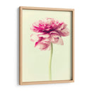 Exuberante Botánico I - Judy Stalus | Cuadro decorativo de Canvas Lab