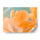 Doble Visión I - Judy Stalus | Cuadro decorativo de Canvas Lab