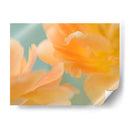 Doble Visión Ii - Judy Stalus | Cuadro decorativo de Canvas Lab