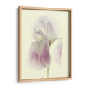 Flores Aglow I - Judy Stalus | Cuadro decorativo de Canvas Lab