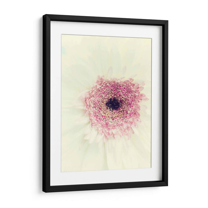 Flores Aglow Ii - Judy Stalus | Cuadro decorativo de Canvas Lab