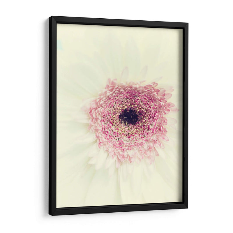 Flores Aglow Ii - Judy Stalus | Cuadro decorativo de Canvas Lab