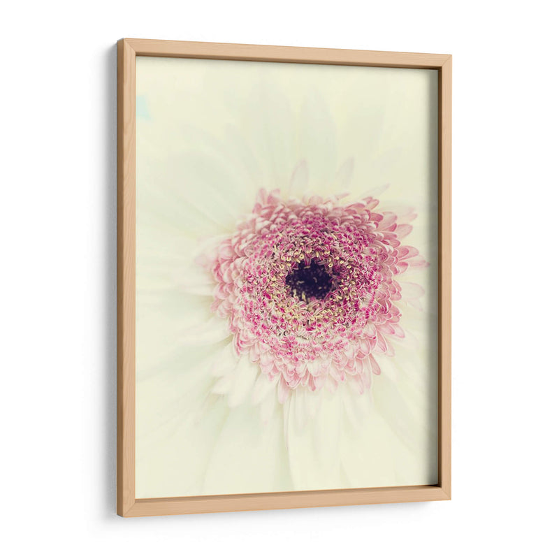 Flores Aglow Ii - Judy Stalus | Cuadro decorativo de Canvas Lab