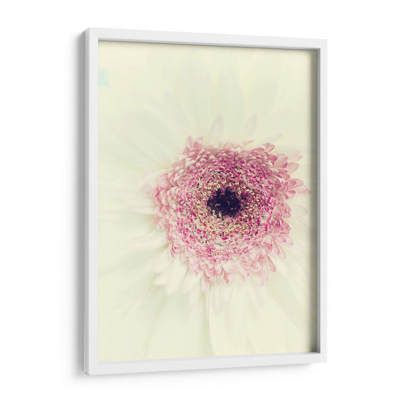 Flores Aglow Ii - Judy Stalus | Cuadro decorativo de Canvas Lab