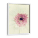 Flores Aglow Ii - Judy Stalus | Cuadro decorativo de Canvas Lab