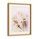 Flores Aglow Iii - Judy Stalus | Cuadro decorativo de Canvas Lab